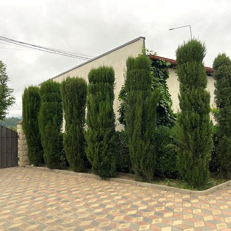 Hotel Doko Martvili Εξωτερικό φωτογραφία