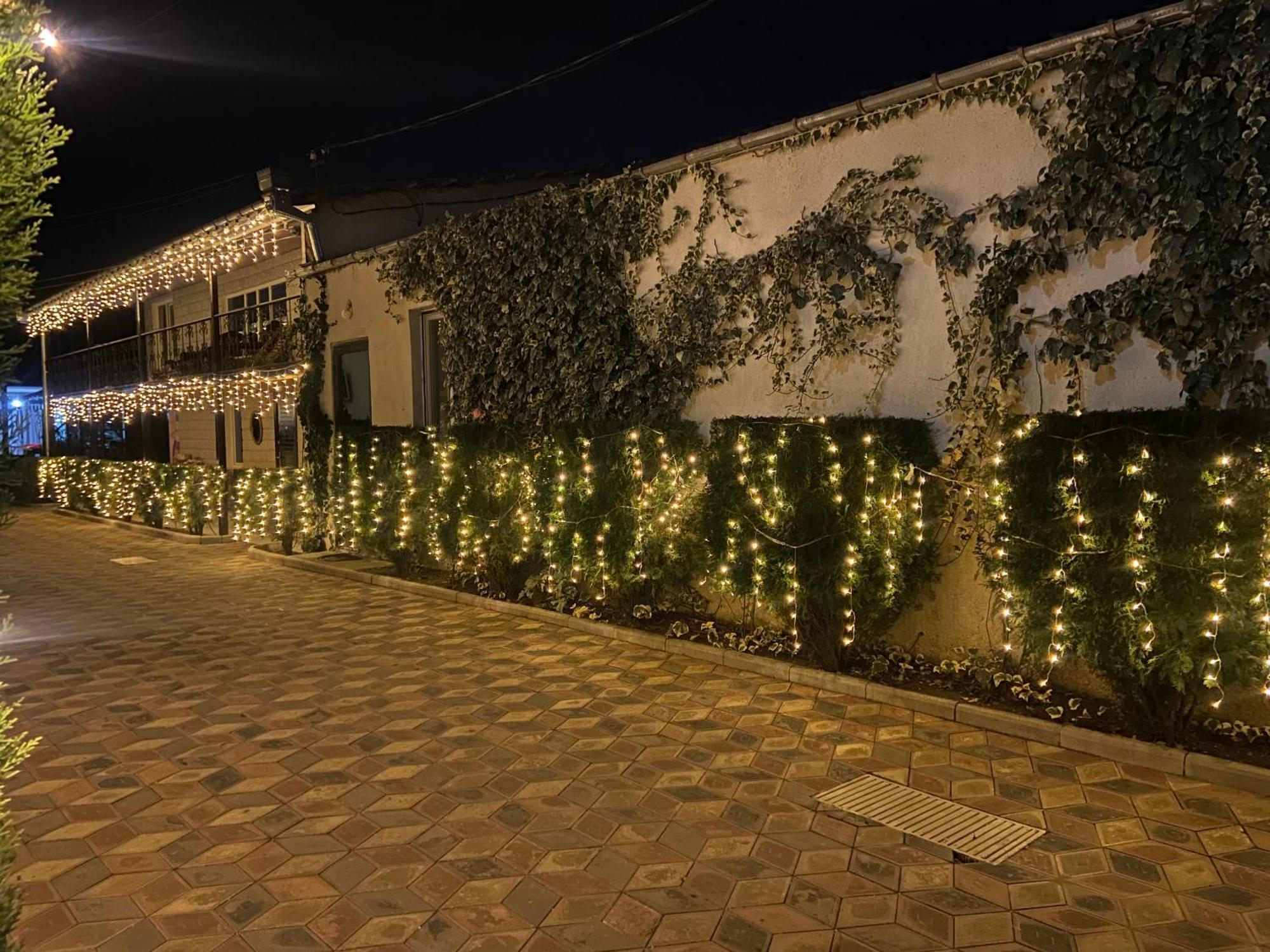 Hotel Doko Martvili Εξωτερικό φωτογραφία