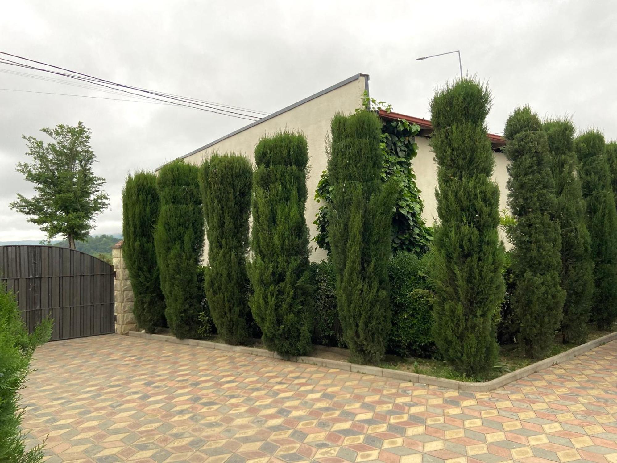 Hotel Doko Martvili Εξωτερικό φωτογραφία